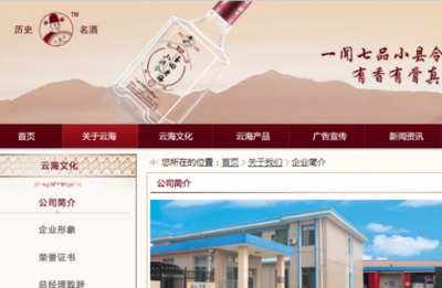 玉田县*海酒业网站建设有创意的主题设计